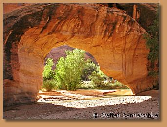 Coyote Natural Bridge - Utah
