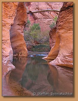 Coyote Gulch - Utah