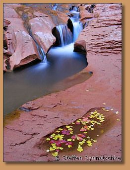 Coyote Gulch