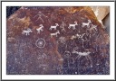 Bighorn Sheeps Petroglyph