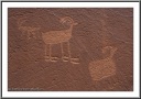 Bighorn Sheep Petroglyphs