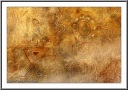 Chumash Painting