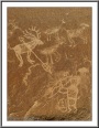 Elk Hunter