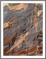 Lizard Petroglyphs