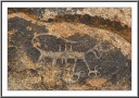 Mountain Lion Petroglyph
