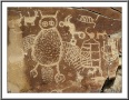 Owl Panel
