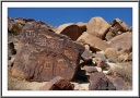 Petroglyph Boulder