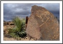 Pony Hill Petroglyph
