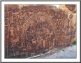 Rochester Creek Panel
