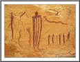 Wild Horse Panel