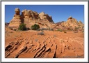 Petrified Waves