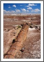 Ancient Giant
