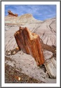 Blue Mesa - Piece of Wood