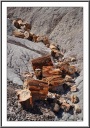 Logs