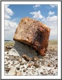 Petrified Wood Hoodoo