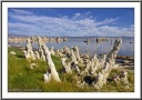 Tufa Antlers