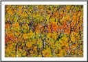An abstract Fall Painting