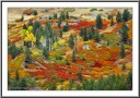 Rolling Hill Tundra