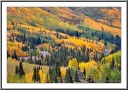South of Ouray