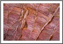 Calcite Fins