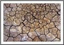 Mud Pattern
