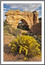 Arch Rock