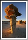 Flower Hoodoo