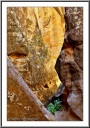 Sandstone Slot