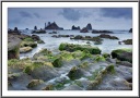 Alligator Rock