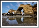 Cape of Arches