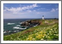 Yaquina Head Lighthouse