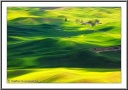 Palouse Farm