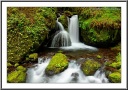 Enchanted Falls