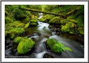 Fern Creek