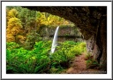 Grotto Falls