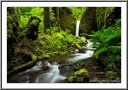 Streams & Waterfalls