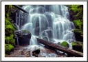 Mossy Cascades