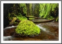 Mossy Stone