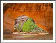 Coyote Natural Bridge