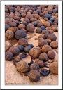 Moqui Marbles