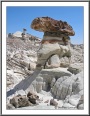 White Valley Hoodoo