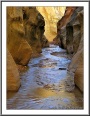 Willis Creek