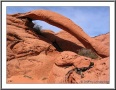 Cobra Arch