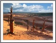 Coral Pink Sand Dunes S.P.