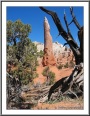 Kodachrome Basin Spire
