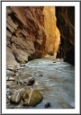 The Virgin River Narrows