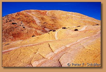 Yellow Rock