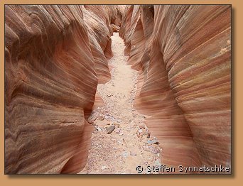 West Fork - Big Horn Canyon - Utah