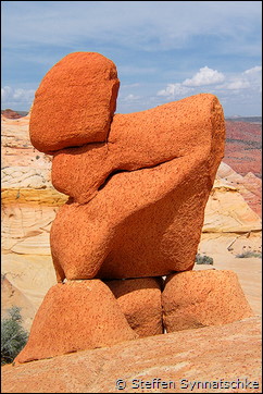Animal - Coyote Buttes North