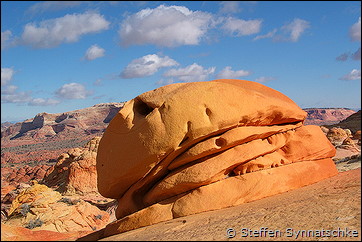 Cheeseburger - Coyote Buttes